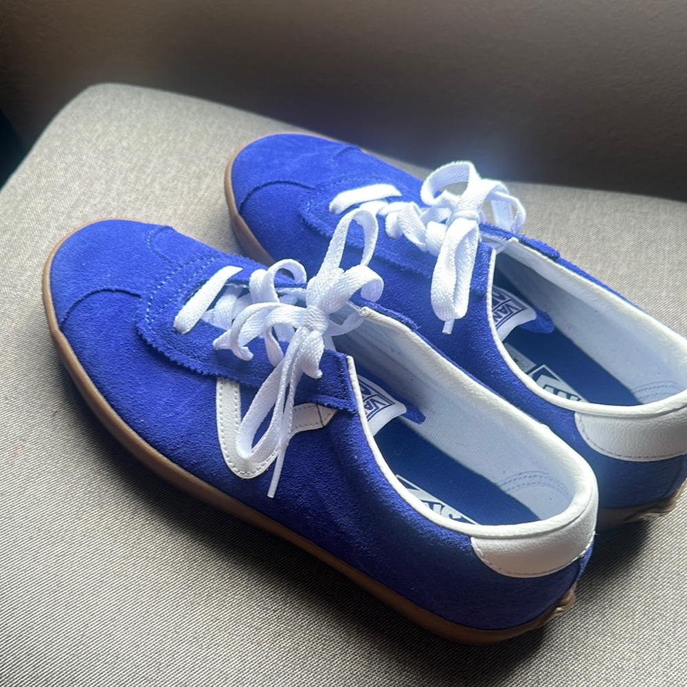 Vans Sports Low Suede Sneakers